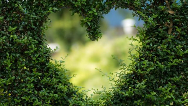 イニスフリーinnisfree